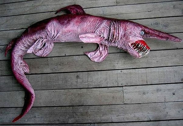21 More Weird Animals You Never Knew Existed 1